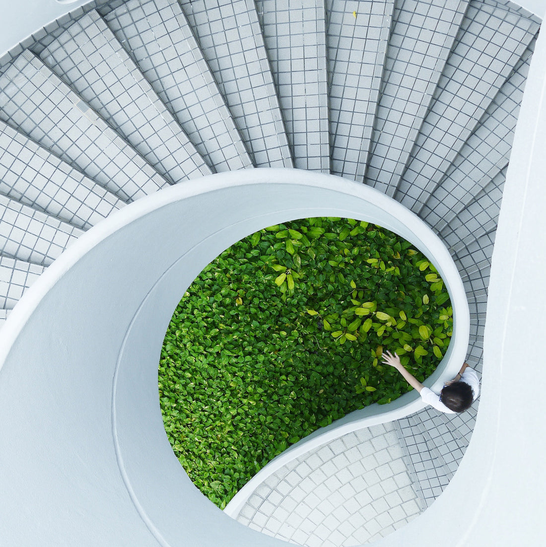 Affordable Ways To Live More Green + Sustainably