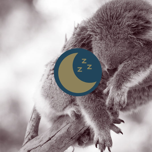 Goodnight Sugarloaf Bush Babies: A Childrens Sleep Story