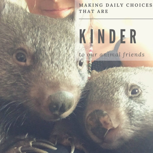 Making Daily Choices That Are Kinder To Our Animals