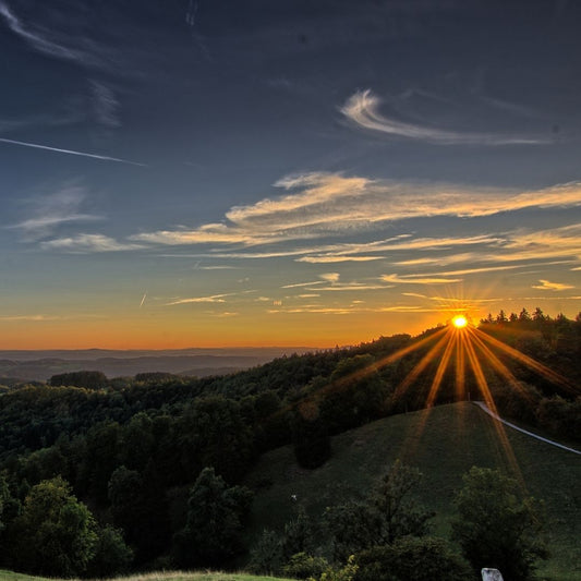 A Mindful Moment: Slow Down + Tune Into Nature [Mindfulness Activity]