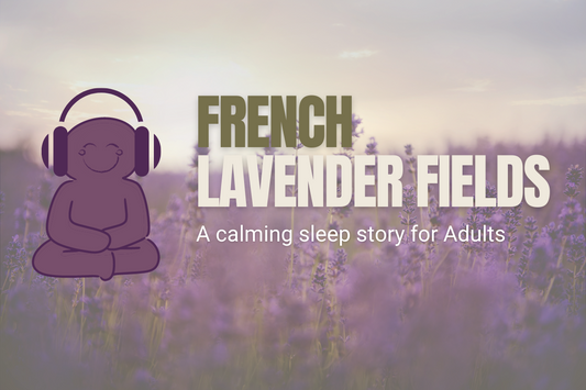 Painting In The French Lavender Fields: A Calming Sleep Story