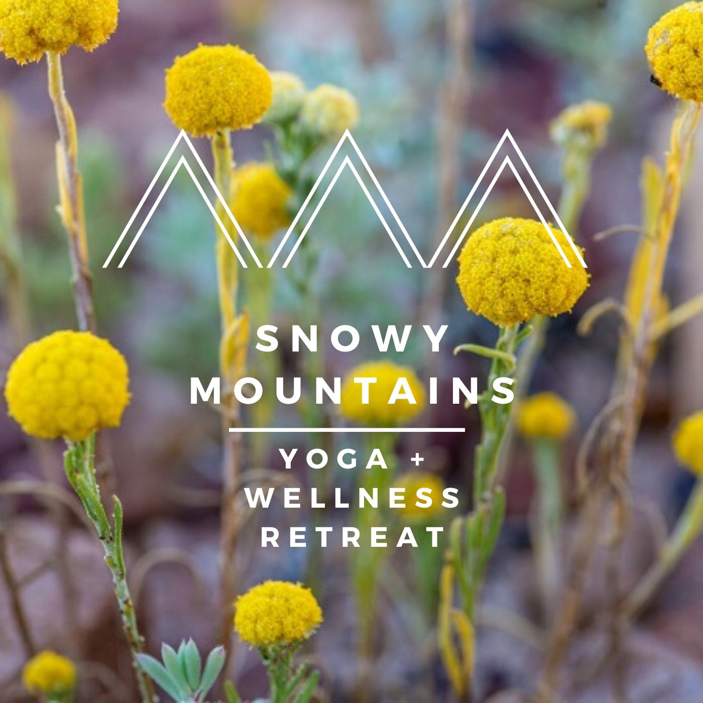 7 Night Snowy Mountains Yoga, Mindfulness + Wellness Retreat: 22nd May 2022 [Ahimsa]